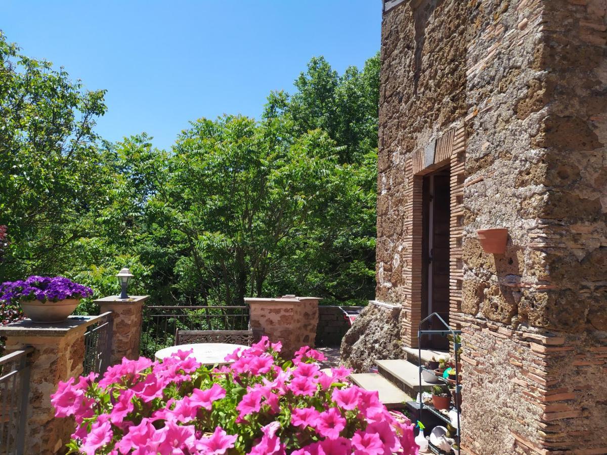 B&B Il Giardino Del Borgo Veiano Exterior photo